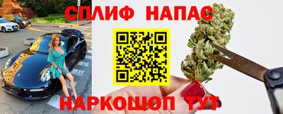 стаф Бузулук