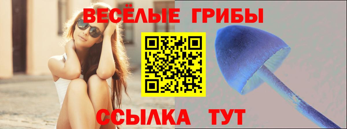 Псилоцибиновые грибы Cubensis Надым
